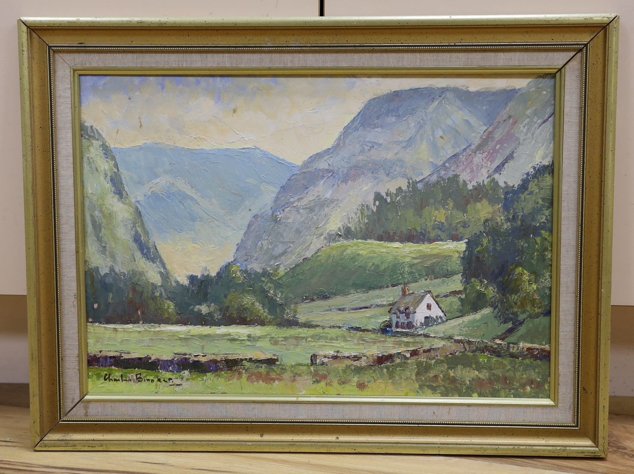 Charles Brooker (1924-2001), oil on board, 'Blencathra from Thirlmere', signed, 35 x 50cm